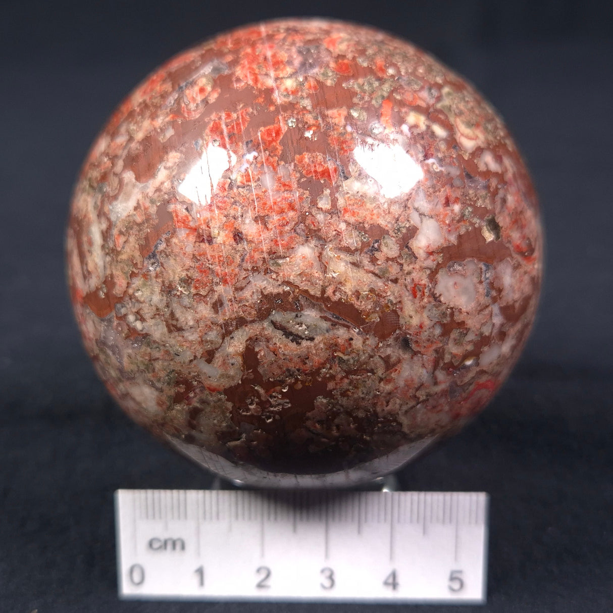 MADIGANITES MAWSONI STROMATOLITE, Cambrian, Australia ZSS012