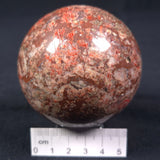 MADIGANITES MAWSONI STROMATOLITE, Cambrian, Australia ZSS012