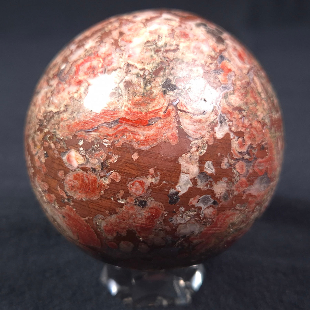MADIGANITES MAWSONI STROMATOLITE, Cambrian, Australia ZSS012