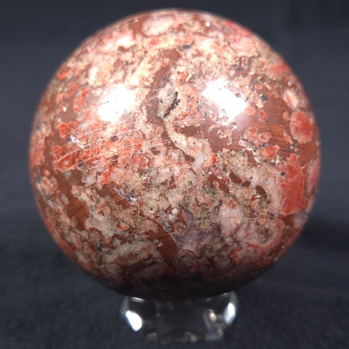 MADIGANITES MAWSONI STROMATOLITE, Cambrian, Australia ZSS012