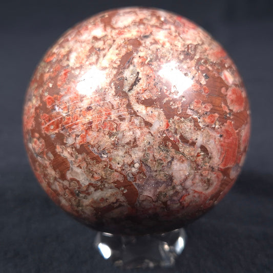 MADIGANITES MAWSONI STROMATOLITE, Cambrian, Australia ZSS012