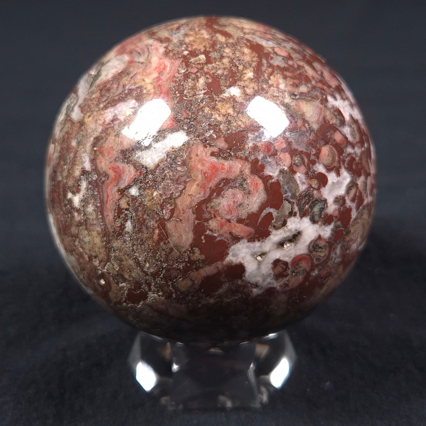 MADIGANITES MAWSONI STROMATOLITE, Cambrian, Australia ZSS013