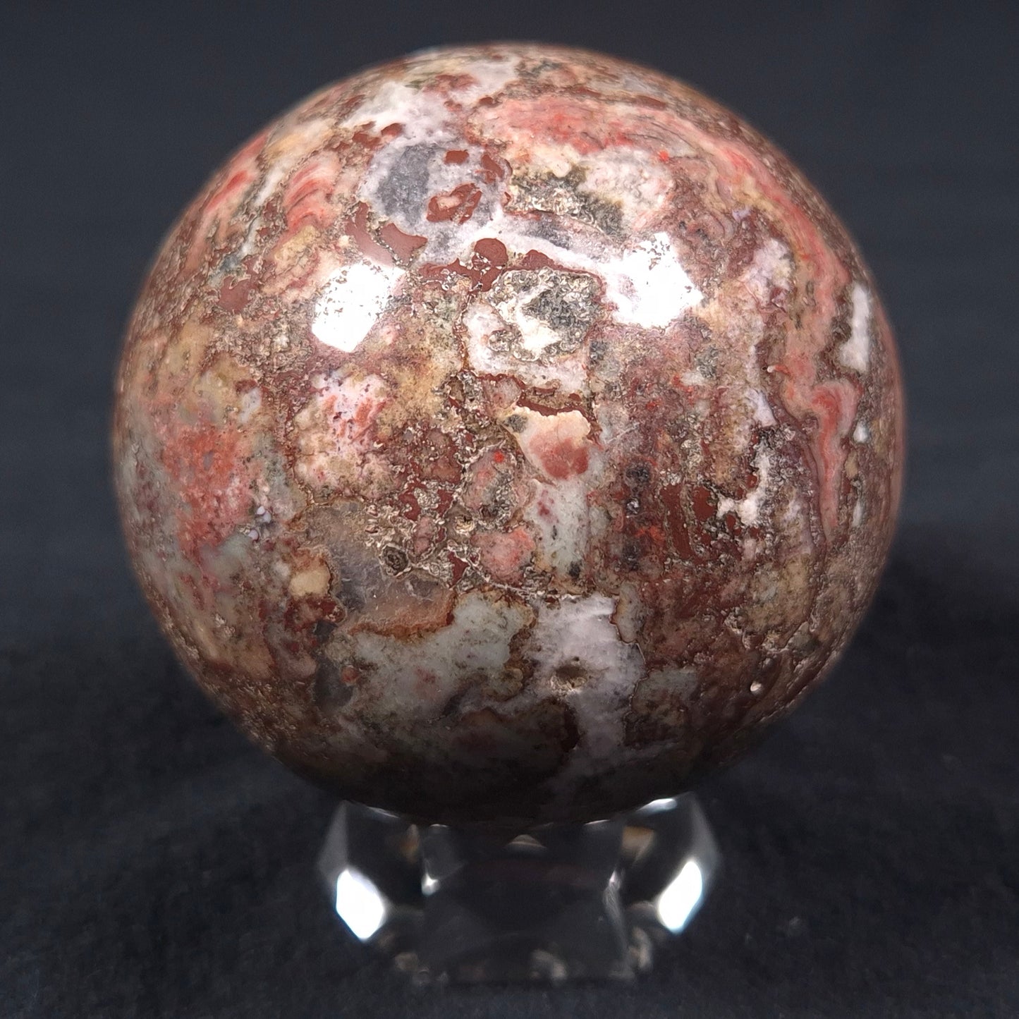 MADIGANITES MAWSONI STROMATOLITE, Cambrian, Australia ZSS013