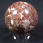 MADIGANITES MAWSONI STROMATOLITE, Cambrian, Australia ZSS013