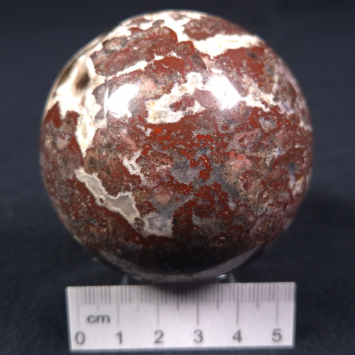 MADIGANITES MAWSONI STROMATOLITE, Cambrian, Australia ZSS014