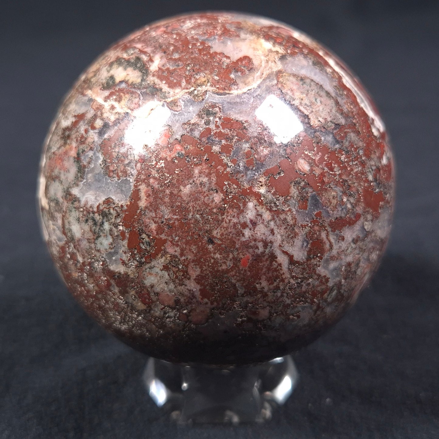MADIGANITES MAWSONI STROMATOLITE, Cambrian, Australia ZSS014