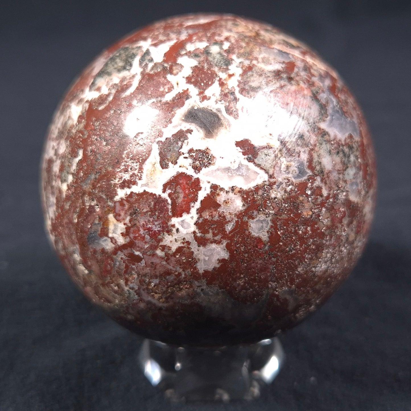 MADIGANITES MAWSONI STROMATOLITE, Cambrian, Australia ZSS014