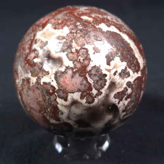 MADIGANITES MAWSONI STROMATOLITE, Cambrian, Australia ZSS014