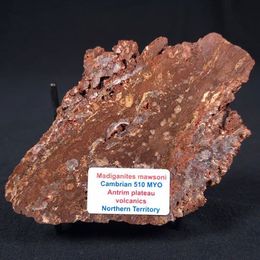 MADIGANITES MAWSONI STROMATOLITE, Cambrian, Australia ZMM001