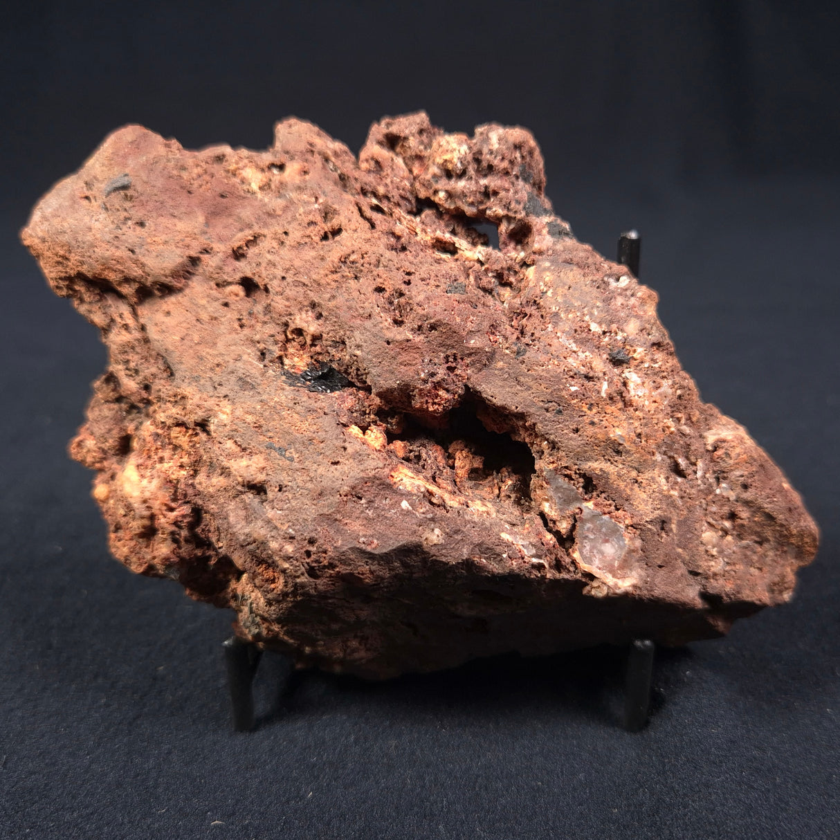 MADIGANITES MAWSONI STROMATOLITE, Cambrian, Australia ZMM001