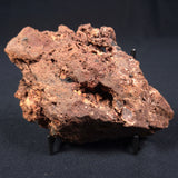 MADIGANITES MAWSONI STROMATOLITE, Cambrian, Australia ZMM001
