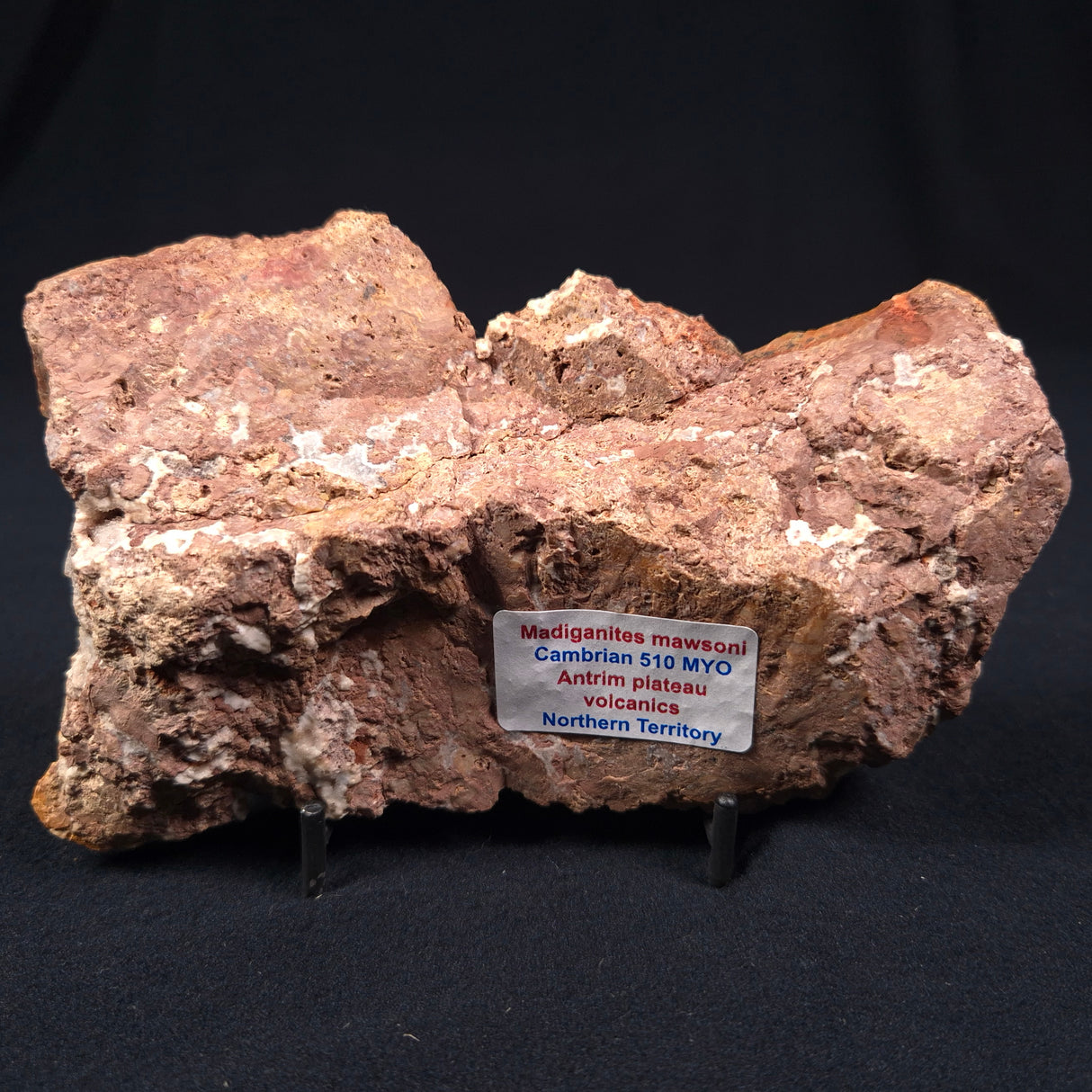 MADIGANITES MAWSONI STROMATOLITE, Cambrian, Australia ZMM003