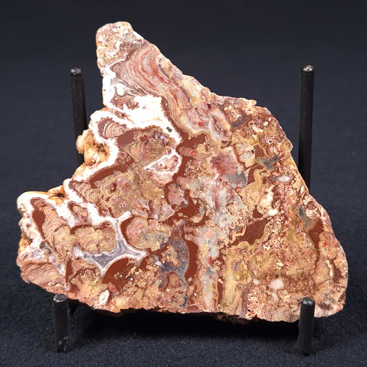 MADIGANITES MAWSONI STROMATOLITE, Cambrian, Australia ZMM004