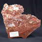 MADIGANITES MAWSONI STROMATOLITE, Cambrian, Australia ZMM006