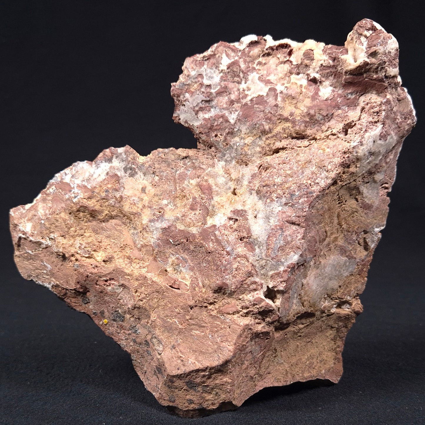 MADIGANITES MAWSONI STROMATOLITE, Cambrian, Australia ZMM006