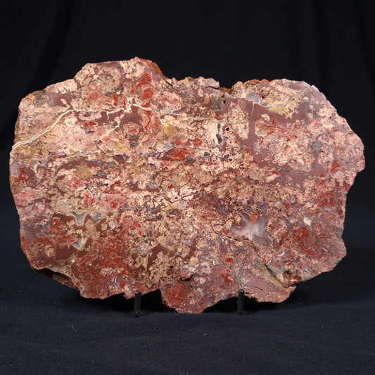 MADIGANITES MAWSONI STROMATOLITE, Cambrian, Australia ZMM009