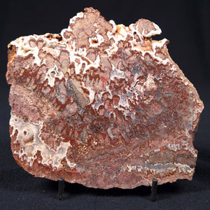 Madiganites mawsoni
