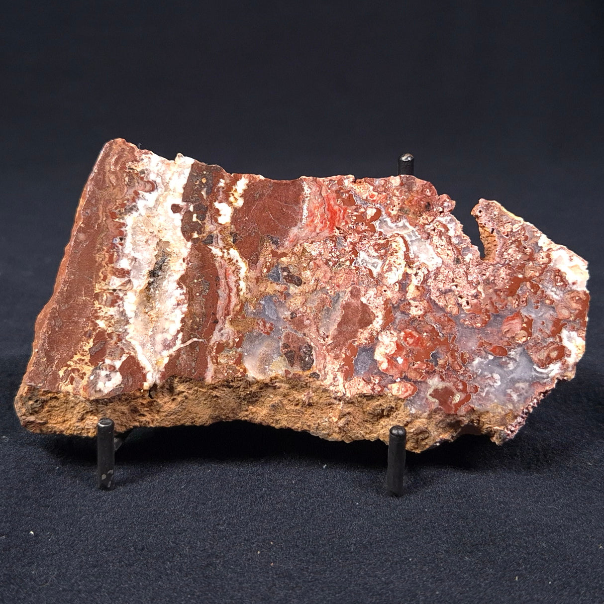 MADIGANITES MAWSONI STROMATOLITE, Cambrian, Australia ZMM007