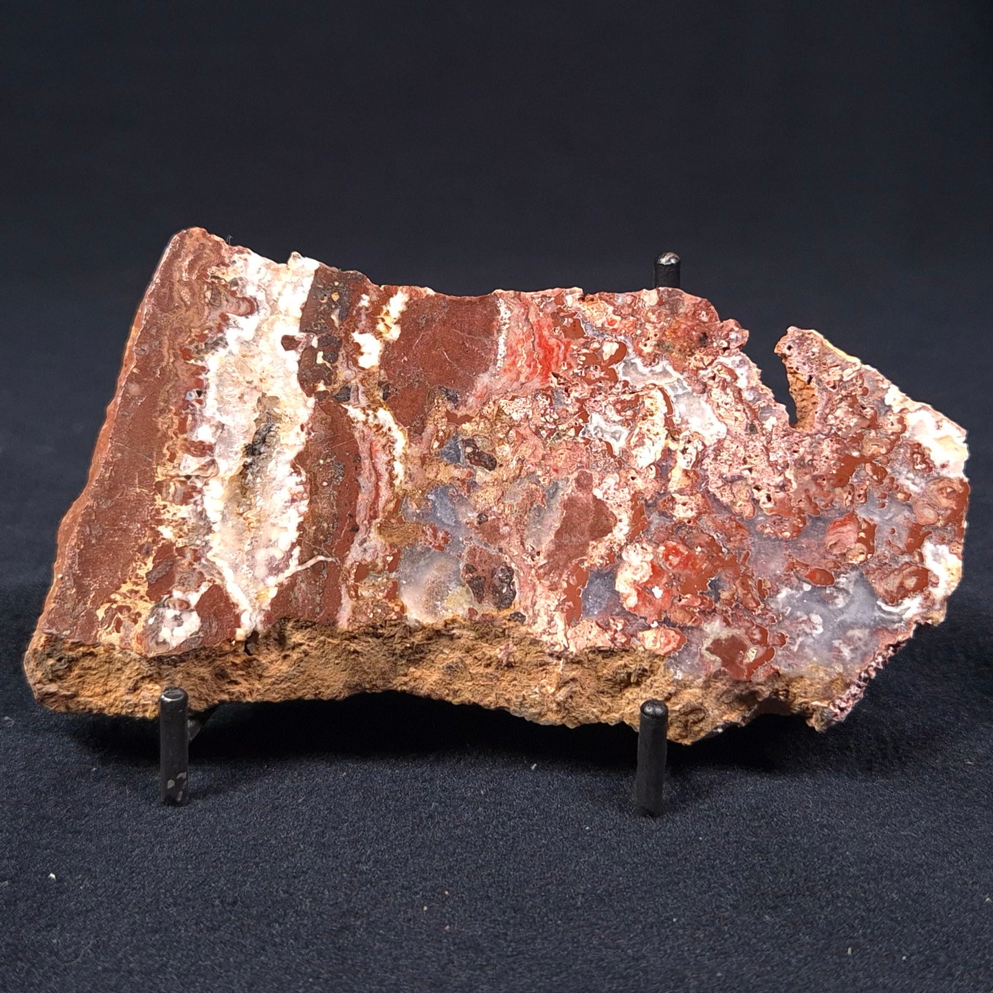 Madiganites Mawsoni Stromatolite Polished ZMM007
