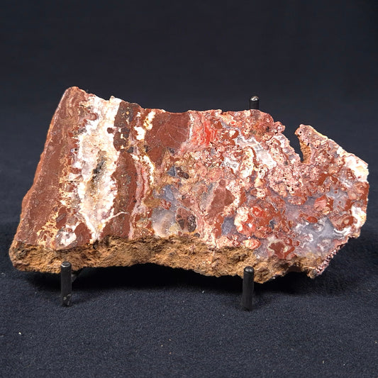 MADIGANITES MAWSONI STROMATOLITE, Cambrian, Australia ZMM007