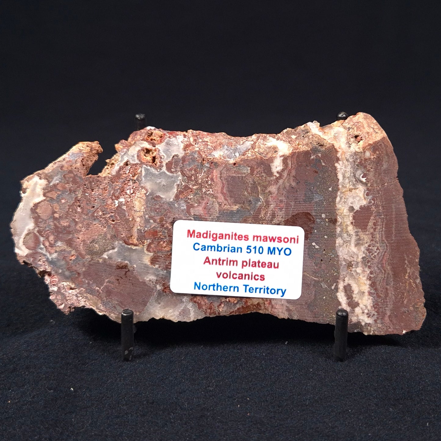 Madiganites Mawsoni Stromatolite Polished ZMM007