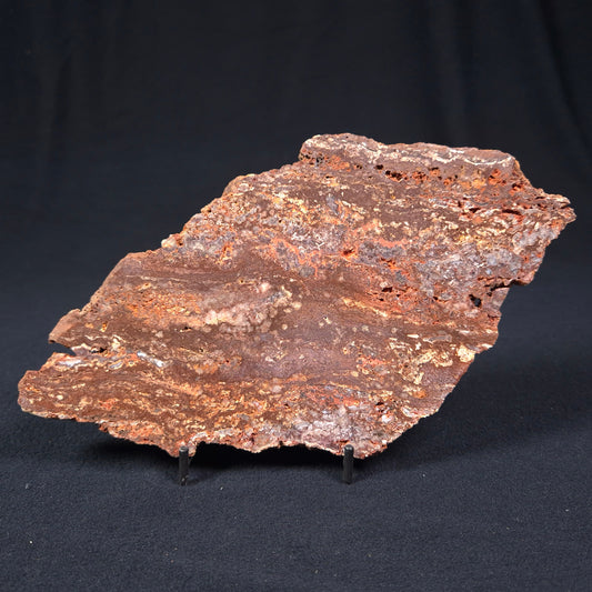 MADIGANITES MAWSONI STROMATOLITE, Cambrian, Australia ZMM010
