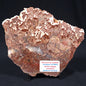 MADIGANITES MAWSONI STROMATOLITE, Cambrian, Australia ZMM011