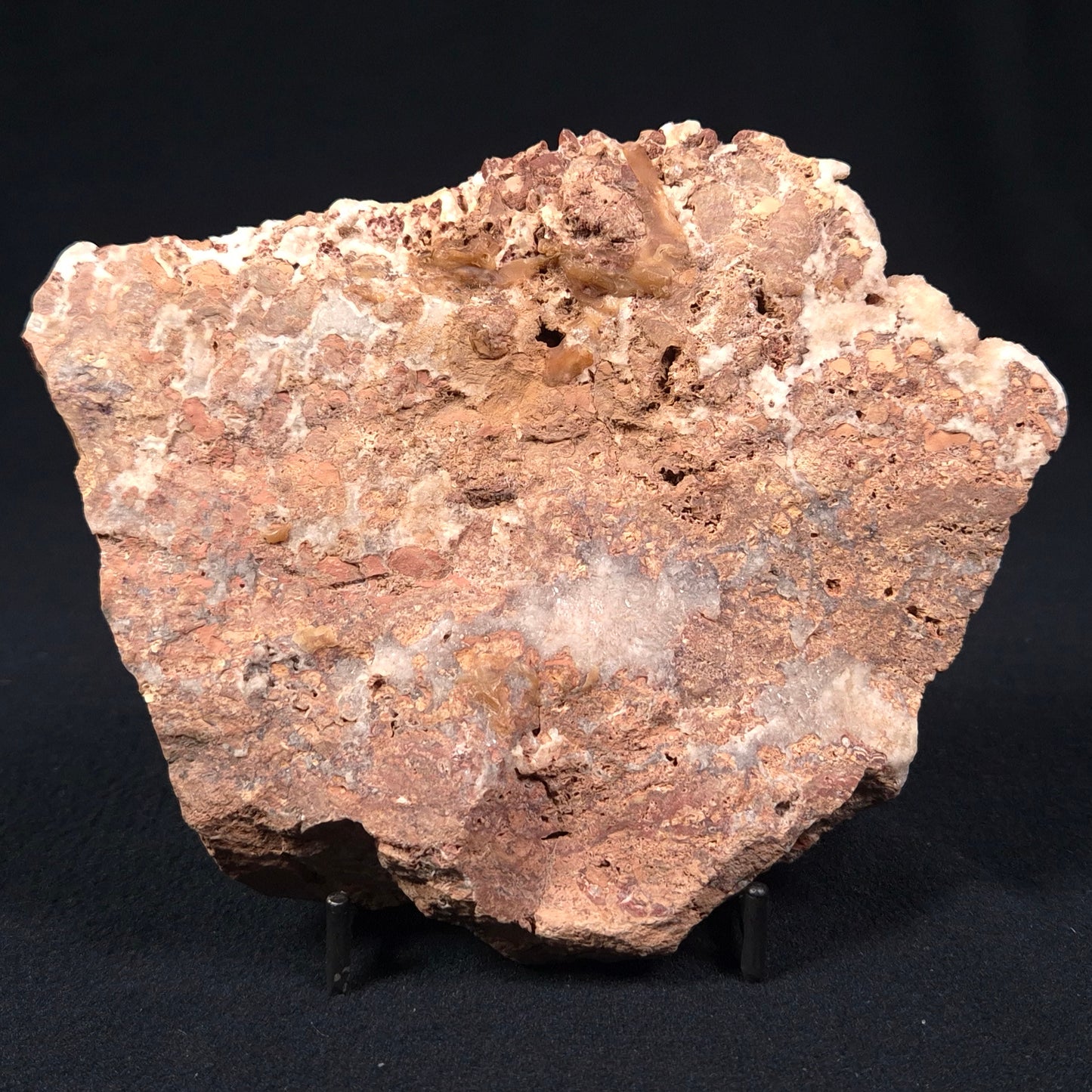 MADIGANITES MAWSONI STROMATOLITE, Cambrian, Australia ZMM011