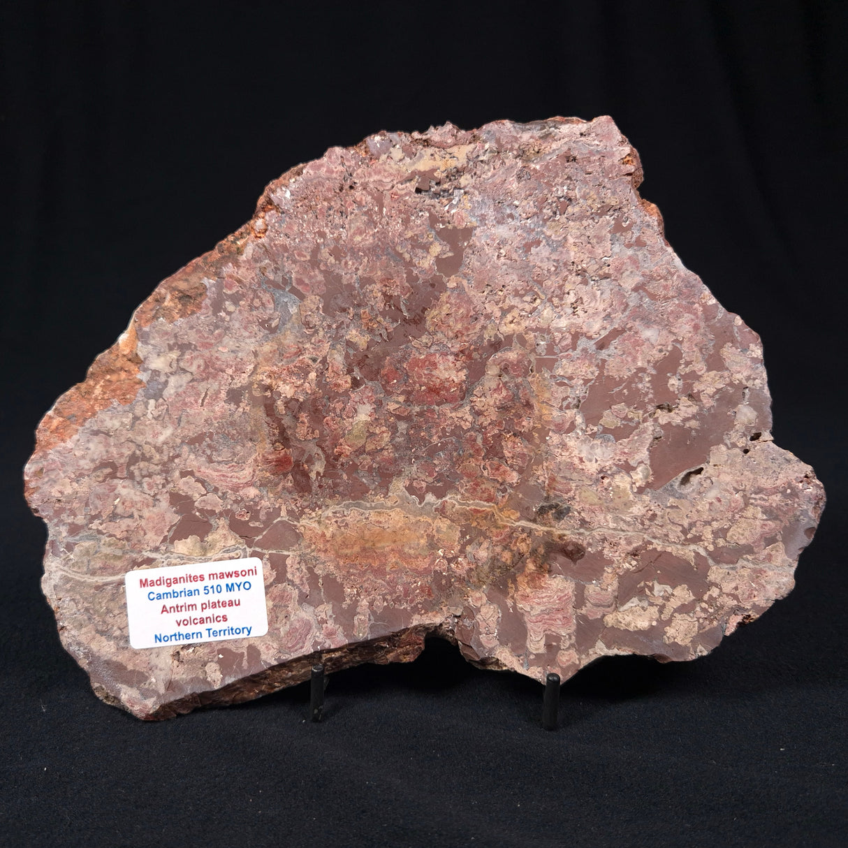 MADIGANITES MAWSONI STROMATOLITE, Cambrian, Australia ZMM012