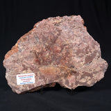 MADIGANITES MAWSONI STROMATOLITE, Cambrian, Australia ZMM012