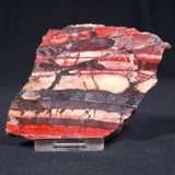 BANDED IRON FORMATION, Archean, Australia ZMB002