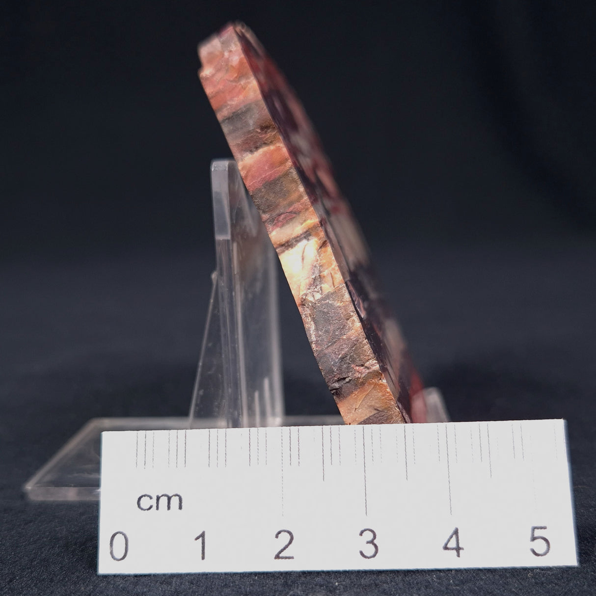 BANDED IRON FORMATION, Archean, Australia ZMB002