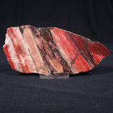BANDED IRON FORMATION, Archean, Australia ZMB006