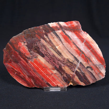 BANDED IRON FORMATION, Archean, Australia ZMB009