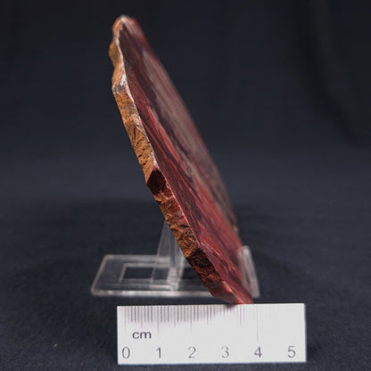 BANDED IRON FORMATION, Archean, Australia ZMB009