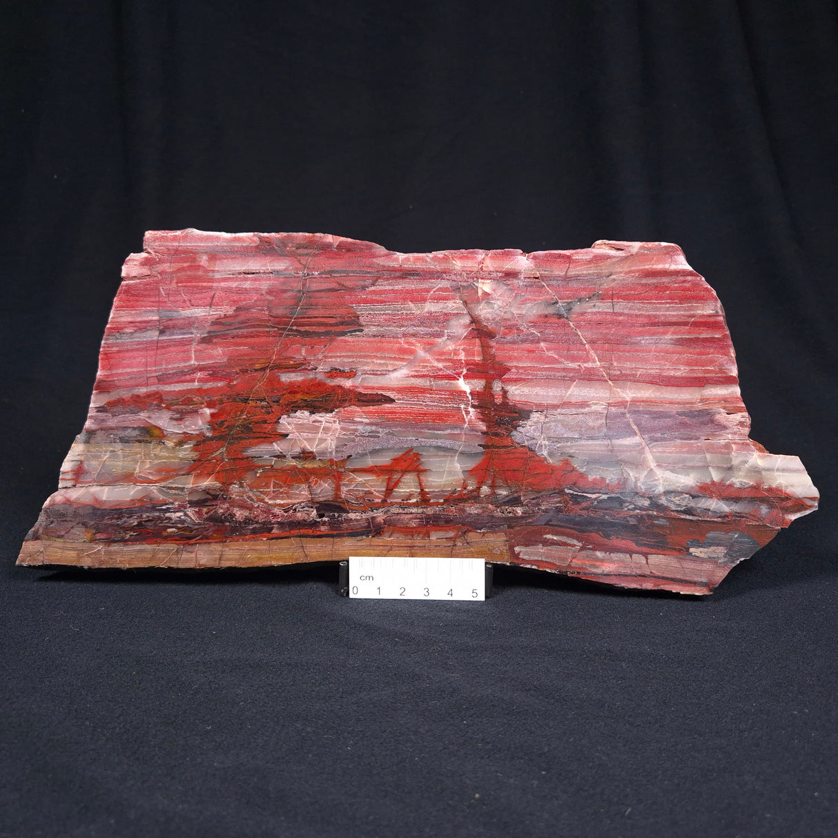 BANDED IRON FORMATION, Archean, Australia ZMB011