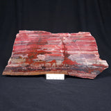 BANDED IRON FORMATION, Archean, Australia ZMB011