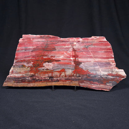 BANDED IRON FORMATION, Archean, Australia ZMB011