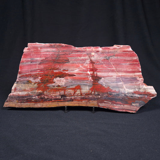 BANDED IRON FORMATION, Archean, Australia ZMB011