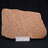 GRAPHIC FELDSPAR WITH SMOKY QUARTZ, Australia YSC013