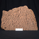 GRAPHIC FELDSPAR WITH SMOKY QUARTZ, Australia YSC014