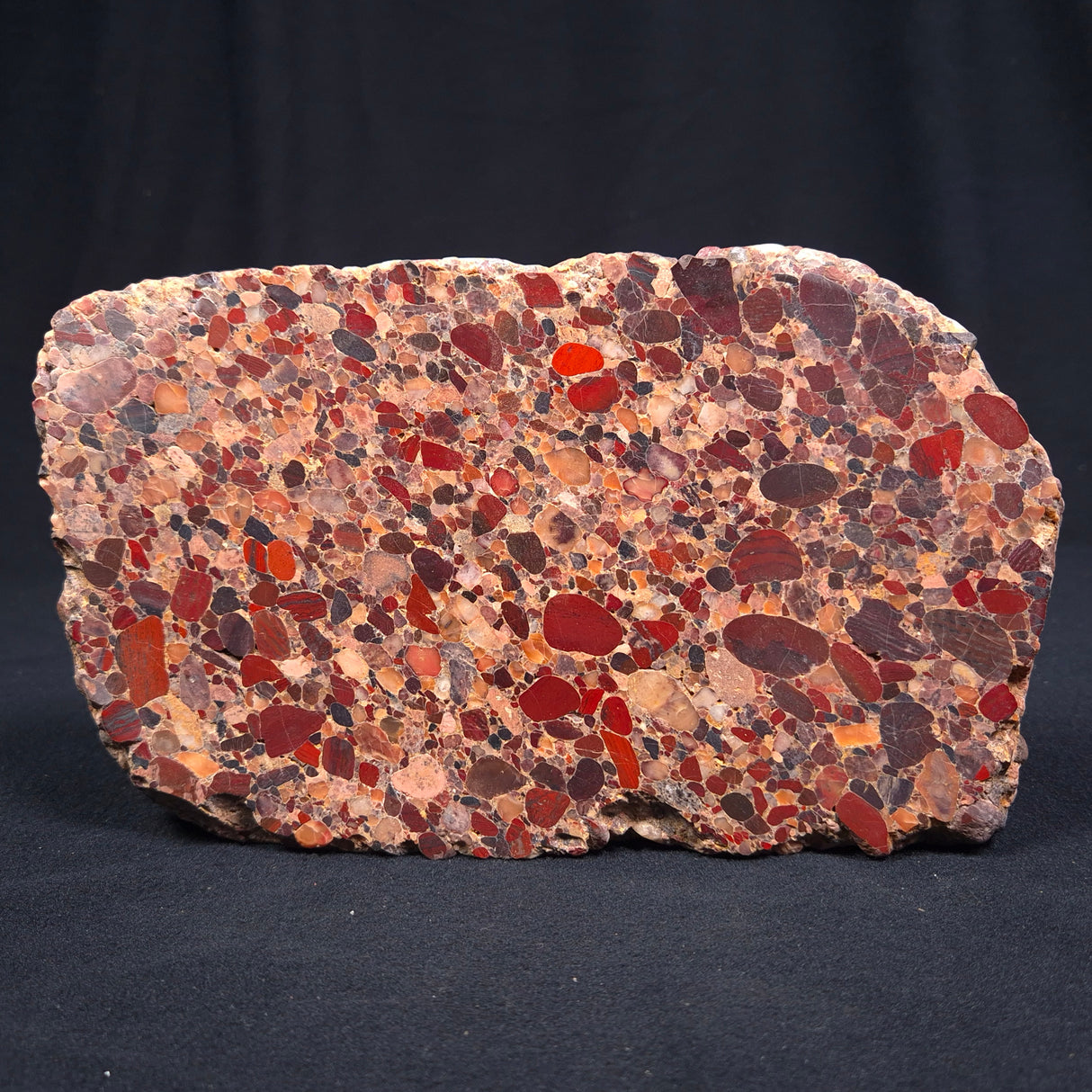 CONGLOMERATE, Australia YSC017