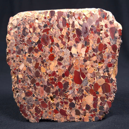 CONGLOMERATE, Australia YSC018