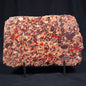 CONGLOMERATE, Australia YSC019
