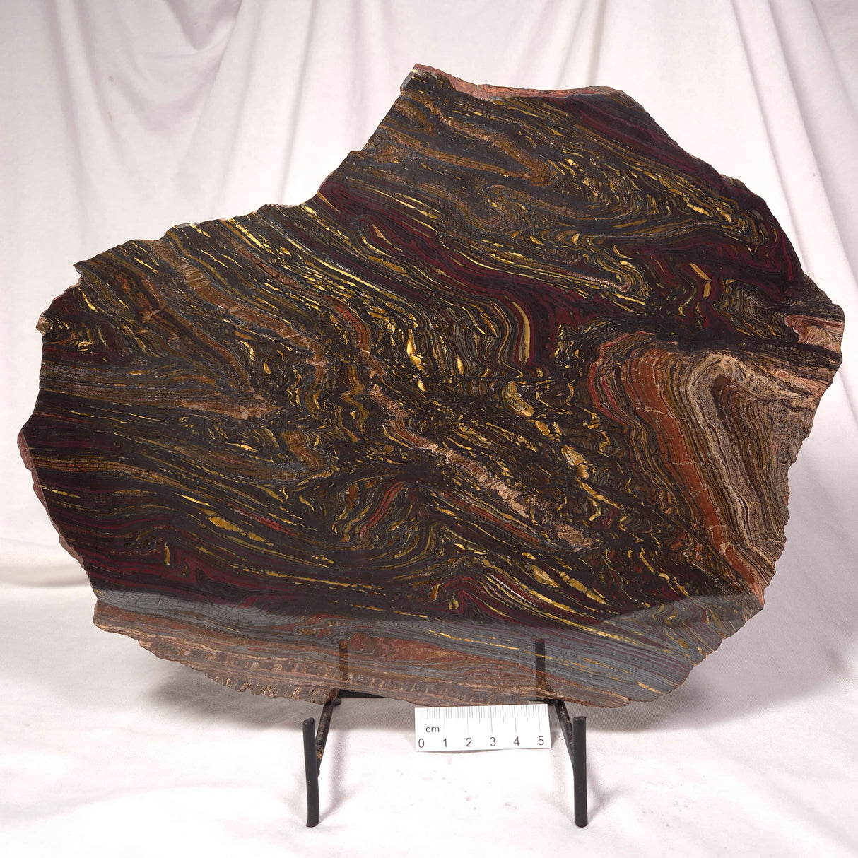 BANDED TIGER IRON MICROBIALITE, Archean, Australia ZBI027