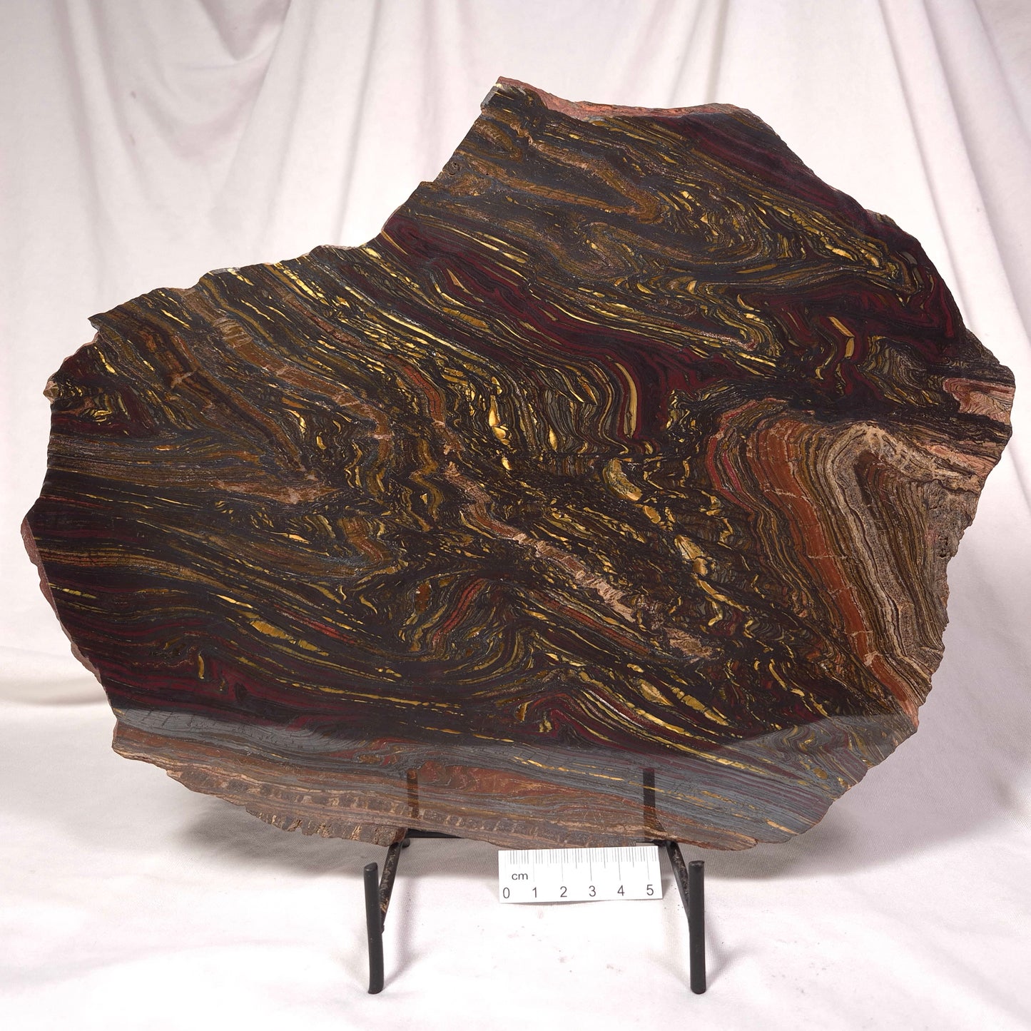 BANDED TIGER IRON MICROBIALITE, Archean, Australia ZBI027