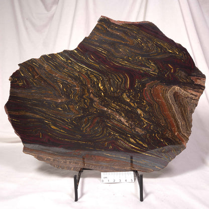BANDED TIGER IRON MICROBIALITE, Archean, Australia ZBI027