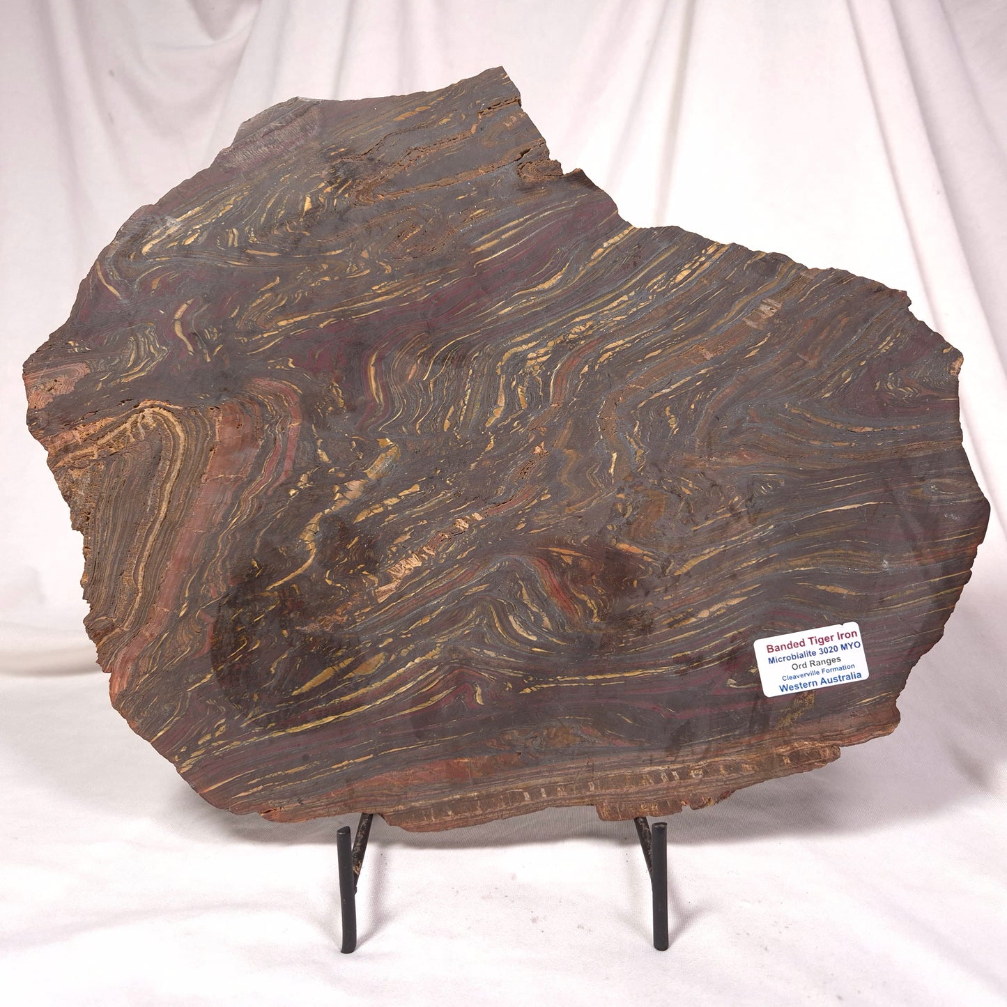 BANDED TIGER IRON MICROBIALITE, Archean, Australia ZBI027