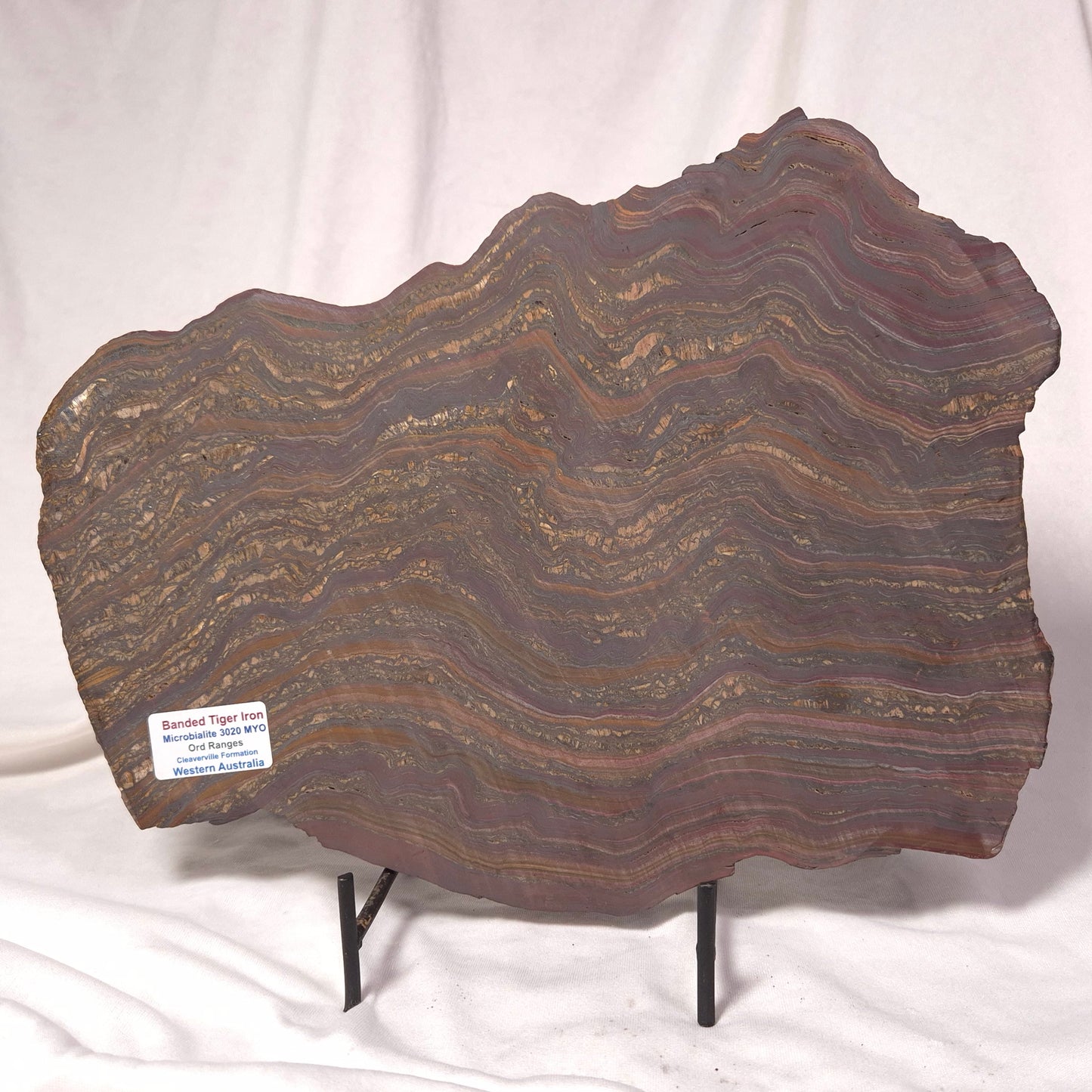 BANDED TIGER IRON MICROBIALITE, Archean, Australia ZBI028