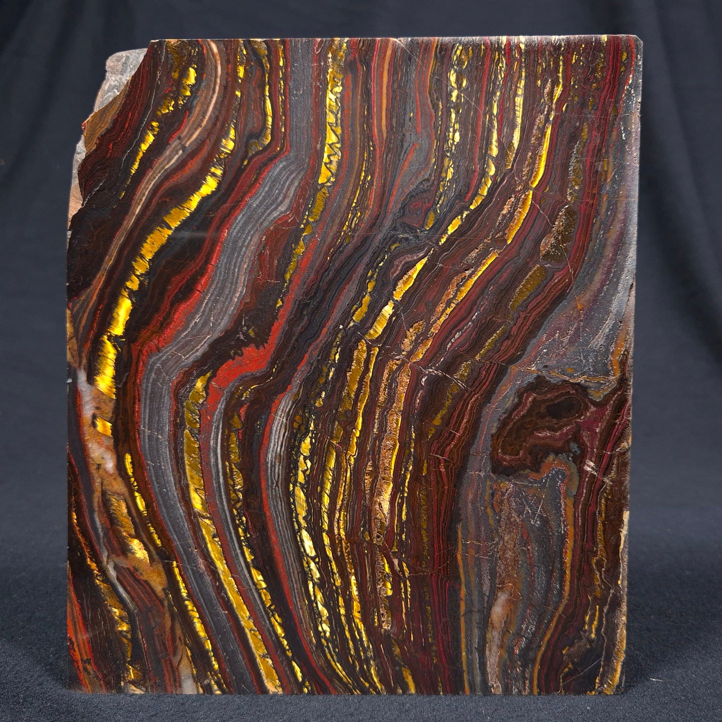 BANDED TIGER IRON MICROBIALITE, Archean, Australia ZBI029